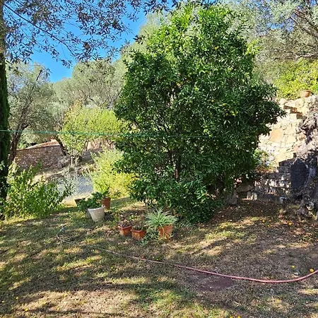 Villa Super Idyllique & Antique Avec Vue Imprenable Olmeto (Corsica)